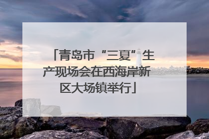 青岛市“三夏”生产现场会在西海岸新区大场镇举行