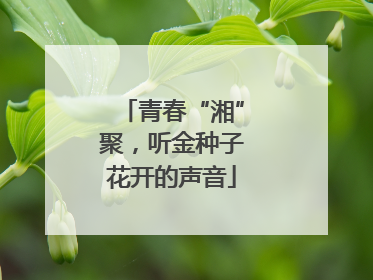 青春“湘”聚，听金种子花开的声音