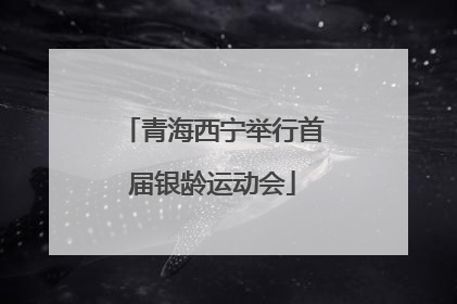 青海西宁举行首届银龄运动会
