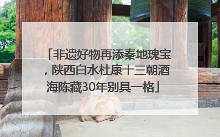 非遗好物再添秦地瑰宝，陕西白水杜康十三朝酒海陈藏30年别具一格