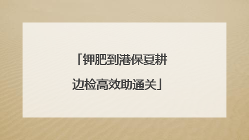 钾肥到港保夏耕 边检高效助通关