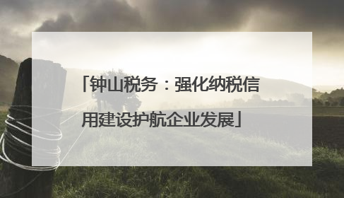 钟山税务：强化纳税信用建设护航企业发展
