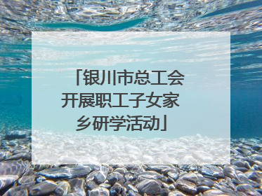 银川市总工会开展职工子女家乡研学活动