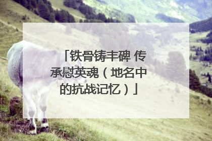 铁骨铸丰碑 传承慰英魂（地名中的抗战记忆）