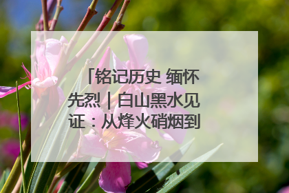 铭记历史 缅怀先烈｜白山黑水见证：从烽火硝烟到振兴热土的巨变
