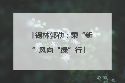 锡林郭勒：乘“新”风向“绿”行