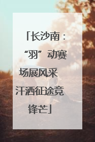 长沙南：“羽”动赛场展风采 汗洒征途竞锋芒