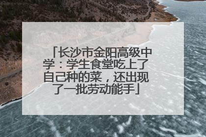 长沙市金阳高级中学：学生食堂吃上了自己种的菜，还出现了一批劳动能手