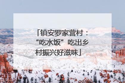 镇安罗家营村：“吃水饭”吃出乡村振兴好滋味