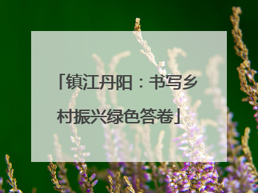 镇江丹阳：书写乡村振兴绿色答卷