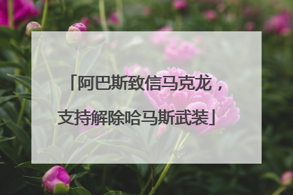 阿巴斯致信马克龙，支持解除哈马斯武装