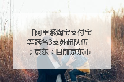 阿里系淘宝支付宝等冠名3支苏超队伍；京东：目前京东币链科技并没有开始发行稳定币｜早资道