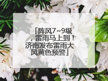 阵风7~9级，雷雨马上到！济南发布雷雨大风黄色预警
