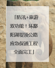 防汛+旅游双功能！环鄱阳湖堤顶公路应急保通工程全面完工