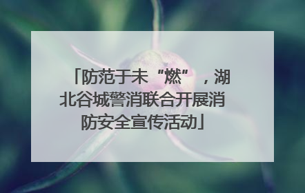 防范于未“燃”，湖北谷城警消联合开展消防安全宣传活动