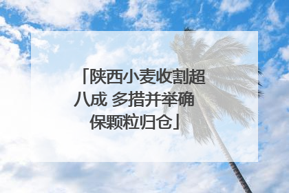 陕西小麦收割超八成 多措并举确保颗粒归仓
