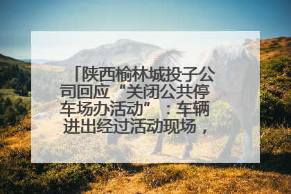 陕西榆林城投子公司回应“关闭公共停车场办活动”：车辆进出经过活动现场，为安全临时关闭