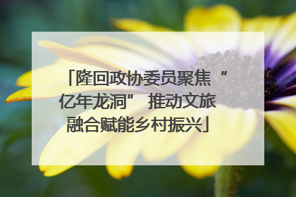 隆回政协委员聚焦“亿年龙洞” 推动文旅融合赋能乡村振兴