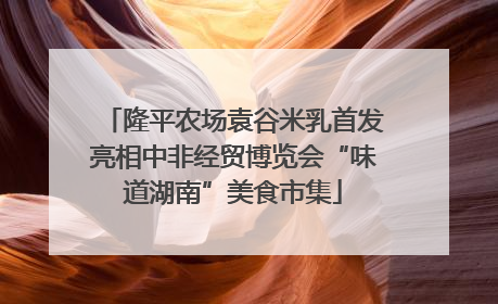 隆平农场袁谷米乳首发亮相中非经贸博览会“味道湖南”美食市集