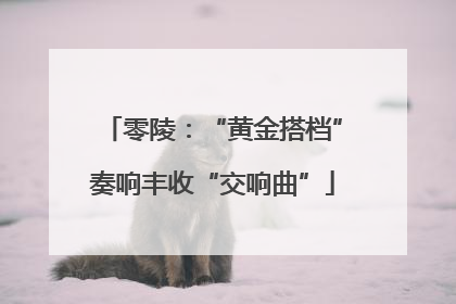 零陵：“黄金搭档”奏响丰收“交响曲”