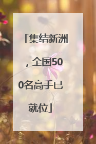 集结新洲，全国500名高手已就位