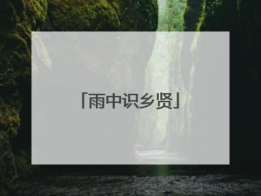 雨中识乡贤