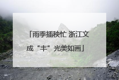 雨季插秧忙 浙江文成“丰”光美如画