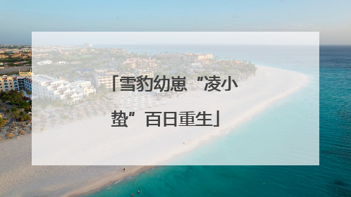 雪豹幼崽“凌小蛰”百日重生