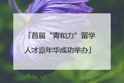 首届“青和力”留学人才嘉年华成功举办