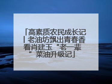 高素质农民成长记丨老油坊飘出青春香 看肖建玉“老一辈”菜油升级记