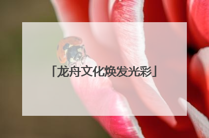 龙舟文化焕发光彩