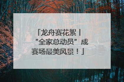 龙舟赛花絮丨 “全家总动员”成赛场最美风景！