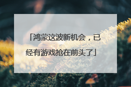 鸿蒙这波新机会，已经有游戏抢在前头了