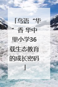 鸟语“华”香 华中里小学36载生态教育的成长密码