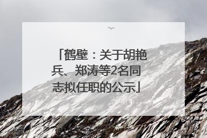 鹤壁：关于胡艳兵、郑涛等2名同志拟任职的公示