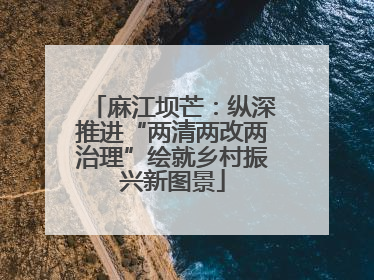 麻江坝芒：纵深推进“两清两改两治理”绘就乡村振兴新图景