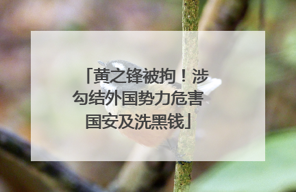 黄之锋被拘！涉勾结外国势力危害国安及洗黑钱