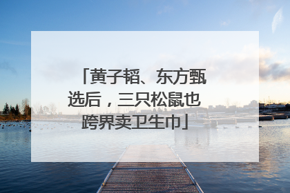 黄子韬、东方甄选后，三只松鼠也跨界卖卫生巾