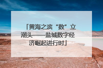 黄海之滨“数”立潮头——盐城数字经济崛起进行时