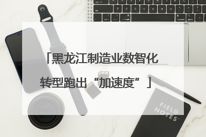 黑龙江制造业数智化转型跑出“加速度”
