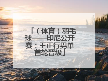 （体育）羽毛球——印尼公开赛：王正行男单首轮晋级