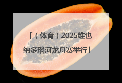 （体育）2025维也纳多瑙河龙舟赛举行