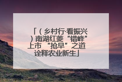 （乡村行·看振兴）南湖红菱“错峰”上市 “抢早”之道诠释农业新生