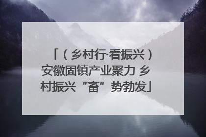（乡村行·看振兴）安徽固镇产业聚力 乡村振兴“畜”势勃发