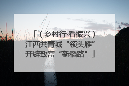（乡村行·看振兴）江西共青城“领头雁”开辟致富“新稻路”