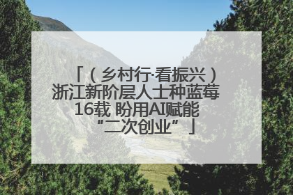 （乡村行·看振兴）浙江新阶层人士种蓝莓16载 盼用AI赋能“二次创业”