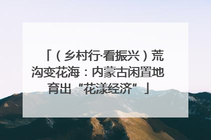 （乡村行·看振兴）荒沟变花海：内蒙古闲置地育出“花漾经济”