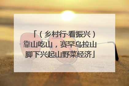 （乡村行·看振兴）靠山吃山，赛罕乌拉山脚下兴起山野菜经济