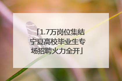 1.7万岗位集结 宁夏高校毕业生专场招聘火力全开