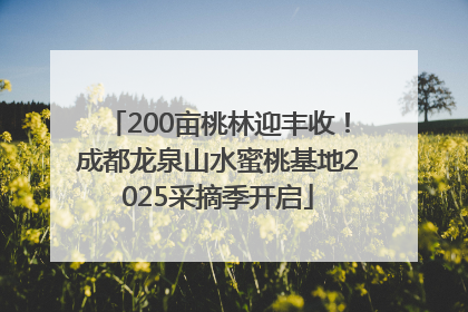 200亩桃林迎丰收！成都龙泉山水蜜桃基地2025采摘季开启
